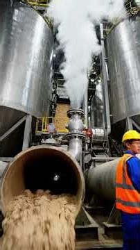 From Trees to Paper Rolls 🌲📄 | Inside a Giant Paper Factory #shorts #factorytour #paper