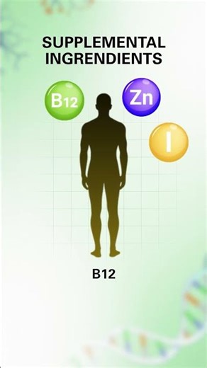 What are the most essential supplements for a plant-based diet?