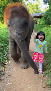 This Little Girl and Baby Elephant Are Best Friends! 🥰 | Animal Lovers