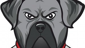 Lansing Sexton High School has a new mascot to replace Big Reds