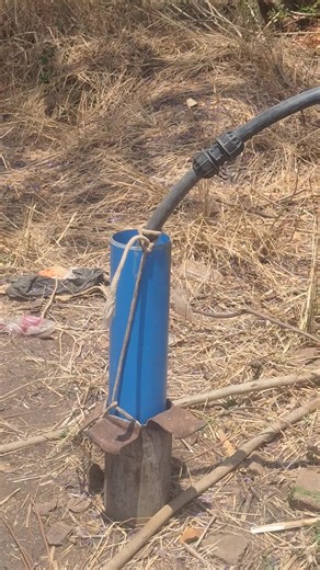 Procal Chadambura (@procalchadambura)’s videos with original sound - Procal Chadambura