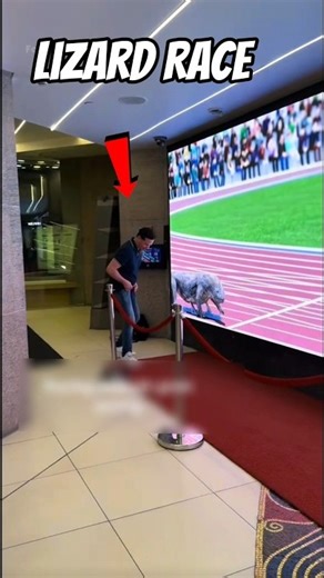 Lizard Race Challenge🤯