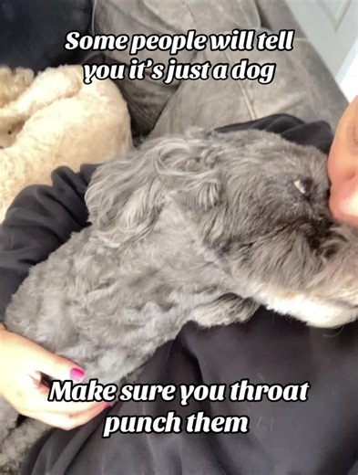 What Does a Cockapoo Look Like? Cockapoo Appearance & Traits