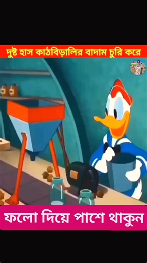 537K views · 19K reactions | হাঁস আর কাঠবিড়ালি দের পাগলামি 藍藍 #cartoon #funny #sakhaoatfacts #funnycartoon | Sakhaoat Facts | Facebook