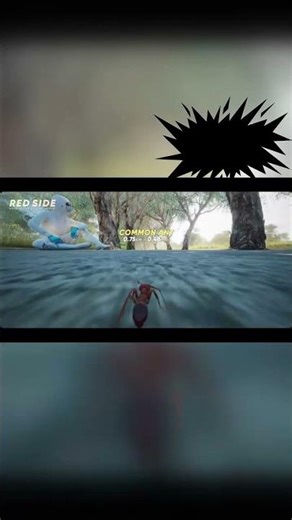 POV You Are An Ant Crawling