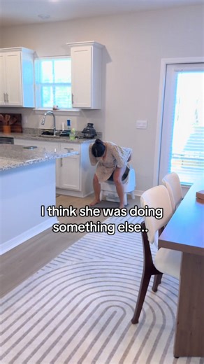 Best Automatic Litter Box Review: Best Rated & Affordable