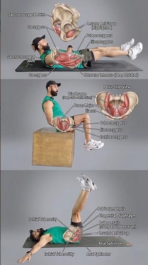 3 Kegel Exercises for Pubic and Lower Abdominal Pain 🧘‍♂️ #KegelsForMen #PelvicFloor #KegelExerci...