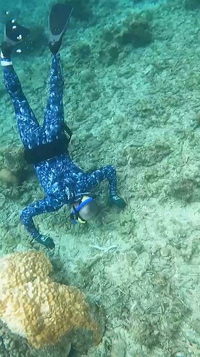 4.5K views · 22 reactions | Outback Brats on Reels | Facebook