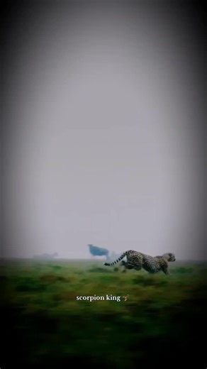‏(🦂scorpion king)🖤👌