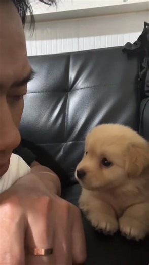 Amazing part19 | Fréquences satellite TV et installation