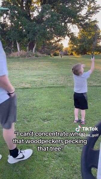 Golf Humor: Woodpecker Distraction on the Course