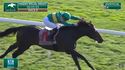 79 reactions | Weyhill Road, a 3yo half brother to Grade 1 winners Girvin and Midnight Bourbon, put it all together today at Keeneland with a nice ride from Declan Cannon. Shug McGaughey trains the son of Quality Road. | West Point Thoroughbreds, Inc. | Facebook