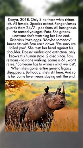 🦏💔 THE LAST RHINO WHO ISN’T ALONE