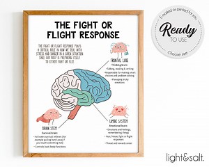 The Fight or Flight Response to the Brain, Brain Anatomy, Psychology, Therapy Poster, Mental Health Poster, Counselor Office Decor, DBT - Etsy