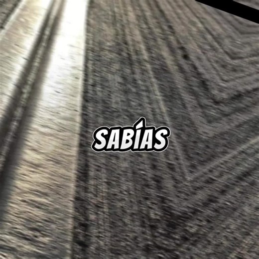 AM 3D Studio on TikTok