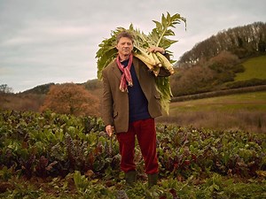 What is the cost of industrial agriculture? | Riverford