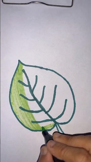 Learn to Draw a Beautiful Leaf Step by Step | Easy Drawing Tutorial for Beginners