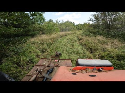 Bush hogging some hunting trails