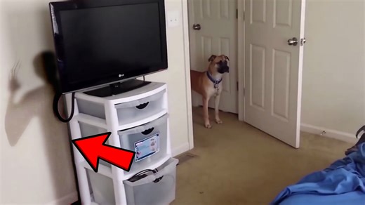 93K views · 2.1K reactions | Chills on Reels | Facebook