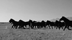 “No Small Thing”, the newest track from #TheTippingPoint, is out now. https://found.ee/tearsforfears_nst | Tears for Fears