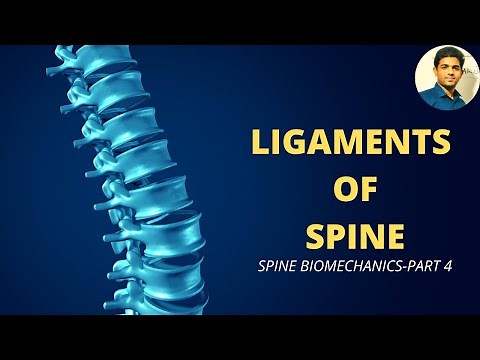 LIGAMENTS OF SPINE | SPINE BIOMECHANICS [Part 4]