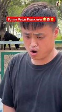 Dog Voice Prank Ever 😲😂 | Chinese Guy Voice Prank with Dogs