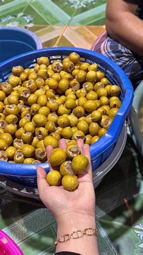 Exploring the Flavors of Air Longan Baling