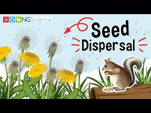 Science: Seed Dispersal - How Seeds Travel
