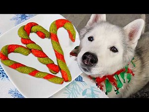 Making Minty Candy Cane Treats for My Dogs 🎄 DIY Christmas Dog Treats