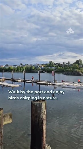 Hop onto the Galloping Goose Regional Trail!
