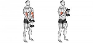 Waiter Curls: Novel But Effective Exercise For Biceps Building (UPDATED)