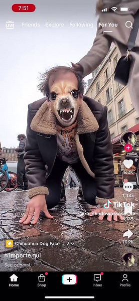 Top 5 Scariest Dog Breeds You Should Know