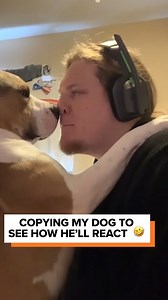 They're like a real life Shaggy and Scooby! | Go Fetch