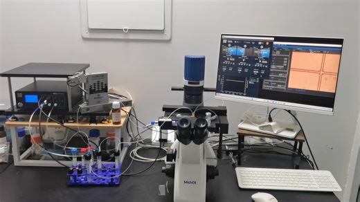 FO135 1wt%表活氟油在ChipShop PMMA/COC液滴芯片中产生油包水液滴微球（细胞液滴分选、单细胞测序、空间转录和siRNA-LNP纳米颗粒）