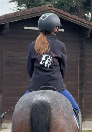 Training Day Adventures with Our Super Ponies