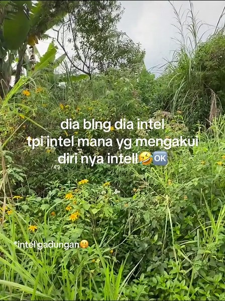 Fenomena Intel di Sosial Media: Humor dan Sindiran
