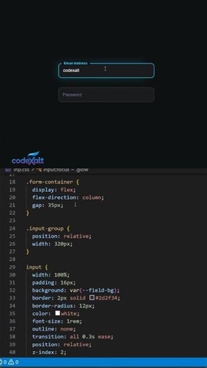 Input field effect using html,css and JavaScript #shorts #viral #coding #programming
