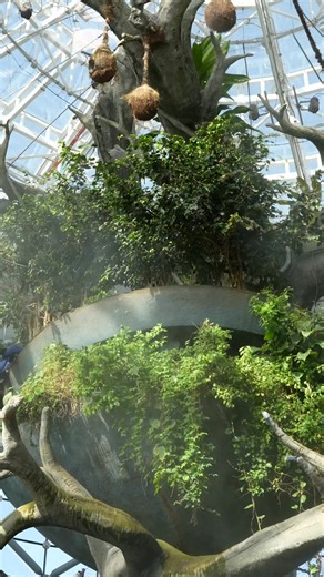 145 reactions · 19 shares | The Green Planet Summer Camp is back —...