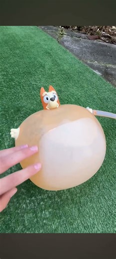 Bingo pop water Explode. 💧 💥💦🐶