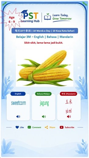 🍎 Day 026 | Learn 10 Words a Day | English • Bahasa Melayu • 中文 #education #funlearning