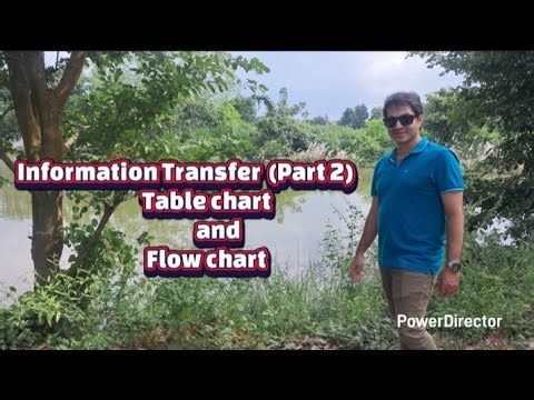 Information Transfer (Part 2) Table chart and Flow chart.