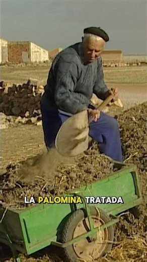 🐦💩 The secret (and natural) fertilizer farmers use in their gardens – you won't believe what it is!