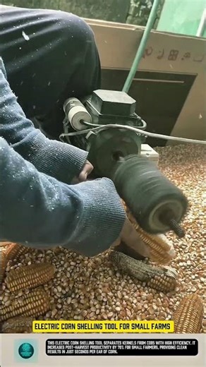Electric corn shelling tool for small farms #tool