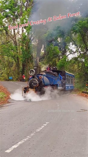 Road Level Crossing At Sukna Forest Steam Toy Train #steam #train #darjeeling #toytrain #dhr #reel