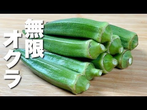 【オクラの簡単レシピ】簡単に炒めるだけ！最高のおつまみ！