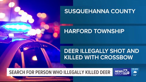Officials seek info on illegal killing of 8-point deer with crossbow in Susquehanna County