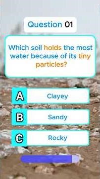 Trivia Questions | Multiple Choice