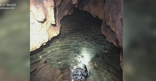 Ice Age fossils discovered in underwater Texas cave raise new questions about region’s past