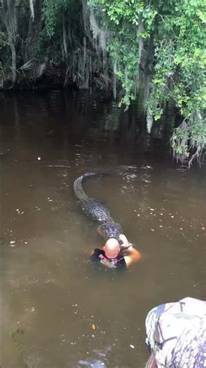 2026 🐊
