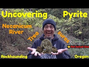 Uncovering Pyrite - Extracting Pyrite Crystal Clusters from Host Rock - Oregon Rockhounding